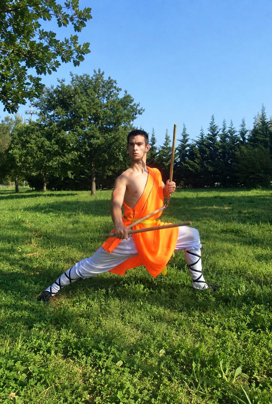 Cyril Crespo en démonstration de Kung Fu