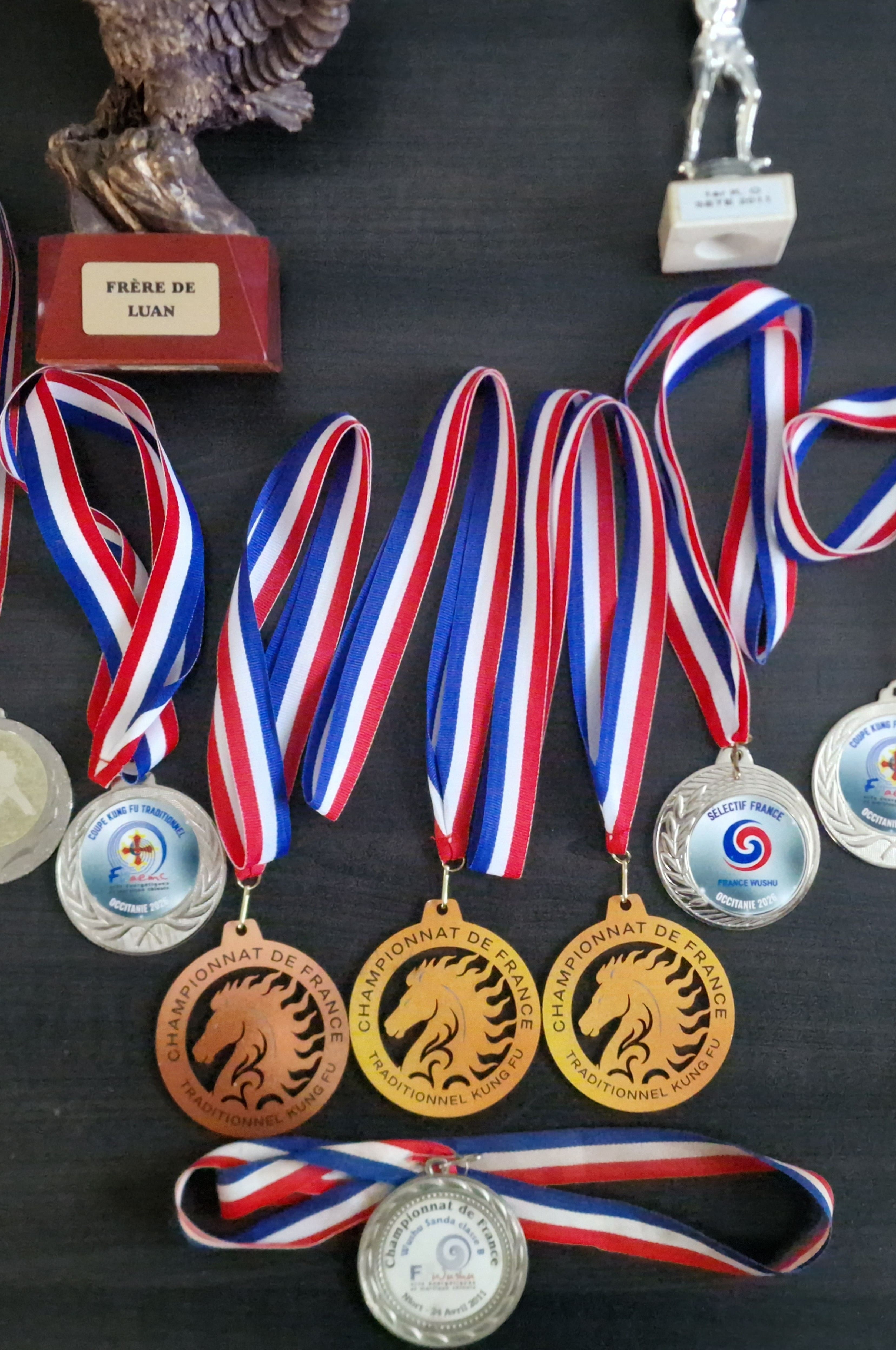 Ensemble des trophées de Cyril Crespo